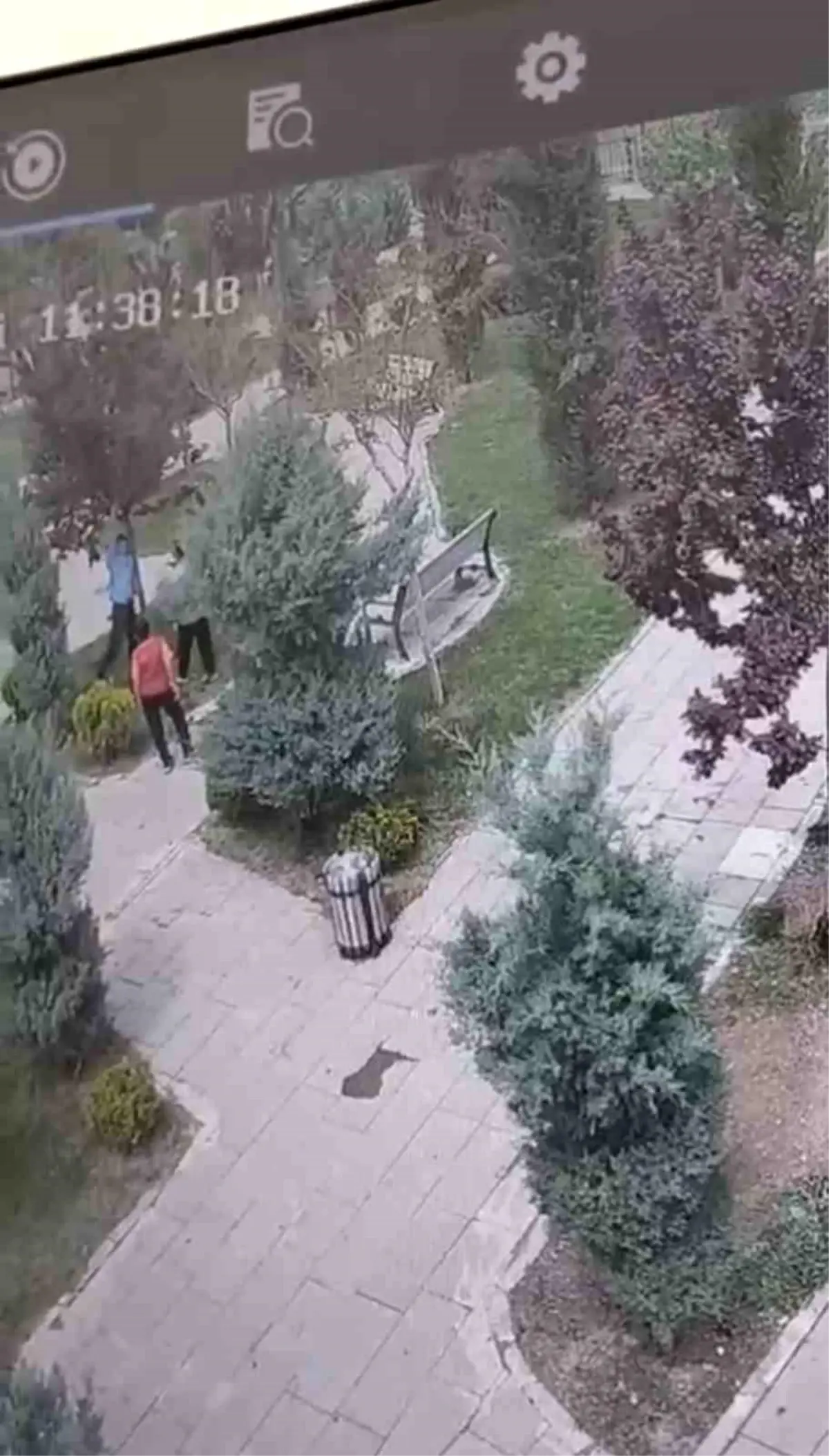 Mardin'de Parktaki Ağaçlara Zarar Veren Gençler Güvenlik Kamerasında