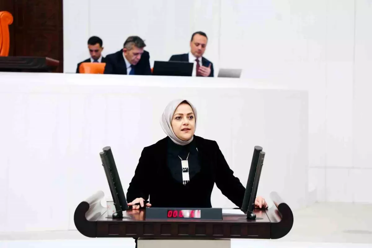 Denizli Milletvekili Sema Silkin Ün, Ev Kadınlarının Emeğine Dikkat Çekti