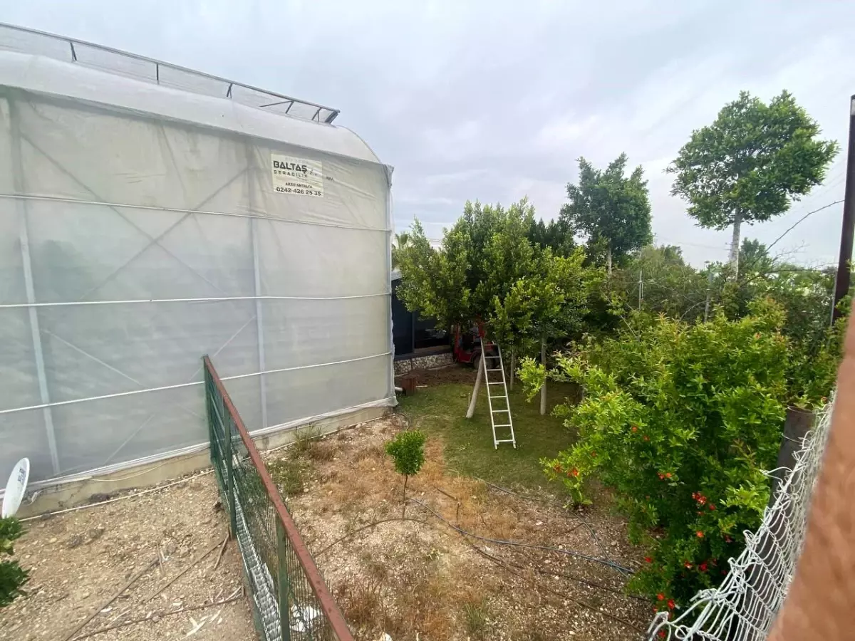 Serik'te Kamyonet Sera Bahçesine Girdi: 1 Yaralı