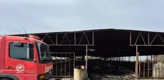 Ceyhan'da Ahır Yangını: 11 Küçükbaş Hayvan Telef Oldu
