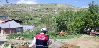 Elazığ'da Haşere ve Sinek İlaçlaması Başlatıldı