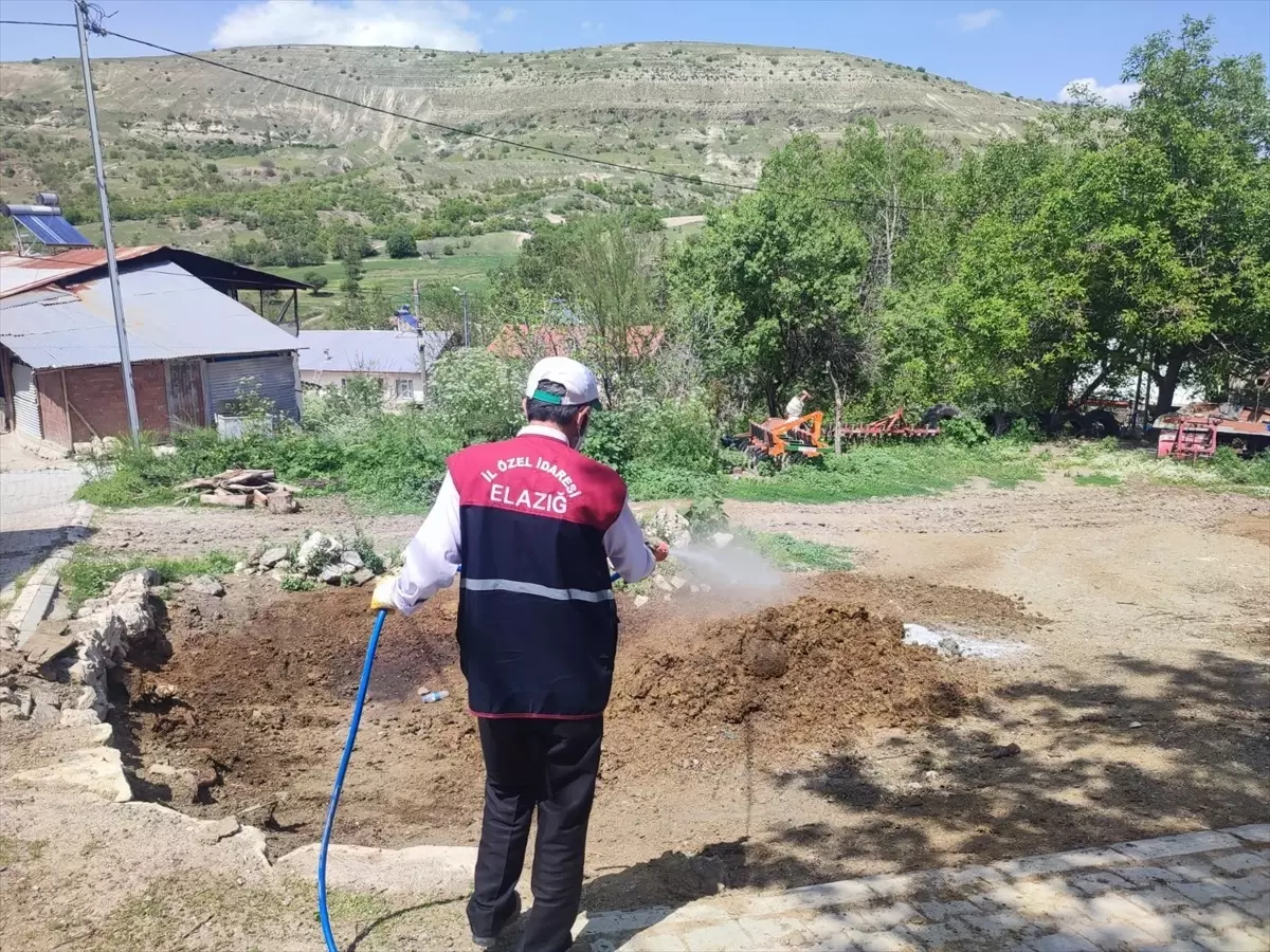 Elazığ'da Haşere ve Sinek İlaçlaması Başlatıldı