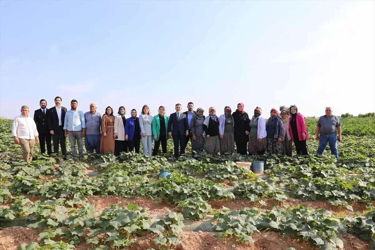 AK Parti Genel Başkan Yardımcısı Kaya, Adana'da ziyaretlerde bulundu