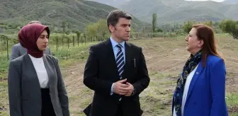 Amasya Valisi, Mevsimlik Tarım İşçileri İçin Konaklama Alanını İnceledi