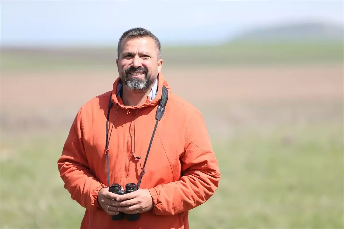 Ardahan'ın Posof ilçesinde dağ horozlarının kur dansı kayıt altına alındı