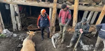 Ardahan'da Sağanak Sonucu Ahır Çöktü