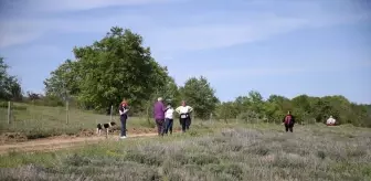 Lalapaşa'da Apiturizm ile Alternatif Turizm Potansiyeli Geliştiriliyor