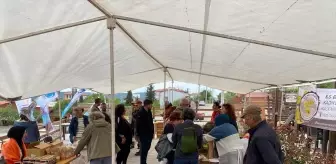 Ayvacık'ta Yerel Ürünler ve Tohum Takas Şenliği Düzenlendi