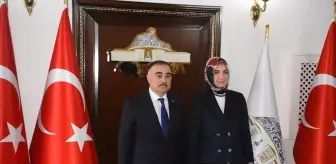 Azerbaycan'ın Ankara Büyükelçisi Reşad Memmedov, Afyonkarahisar'da ziyaretlerde bulundu