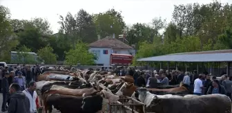 Uşak'ta Canlı Hayvan Pazarı Yeniden Açıldı