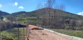 Başçiftlik Mezarlığına İkinci Yol Düzenlemesi