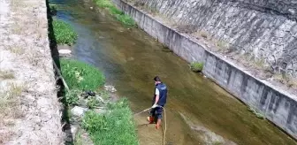 Batman Belediyesi'nden Sinek Şikayetlerine Yanıt