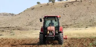Gercüş’te Çiftçiler Karpuz ve Kavun Tohumlarını Ekmeye Başladı