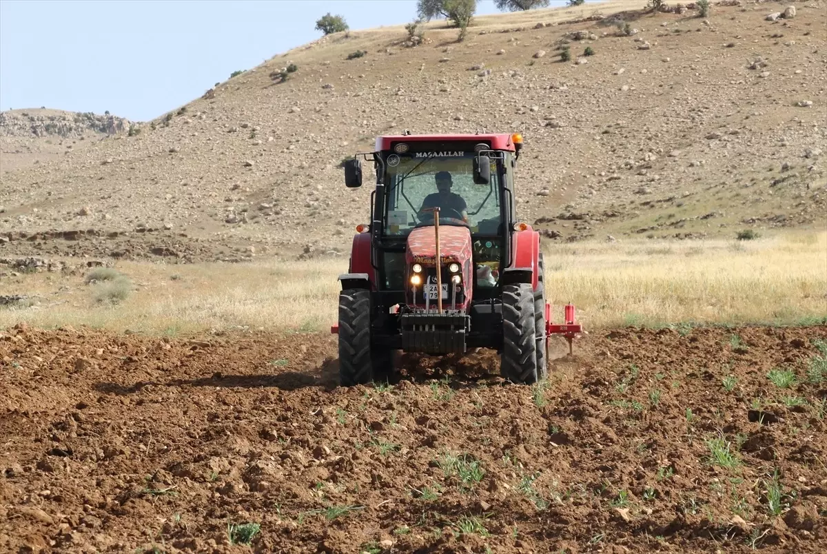 Gercüş’te Çiftçiler Karpuz ve Kavun Tohumlarını Ekmeye Başladı