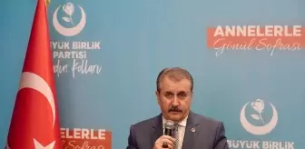 Mustafa Destici: 'Yangın Müsebbipleri Cezasını Almalı'