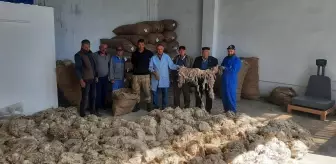 Beypazarı'nda Tiftik Alımları Başladı