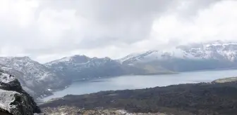 Bitlis'te sahipsiz hayvanları izleme ve denetim toplantısı yapıldı
