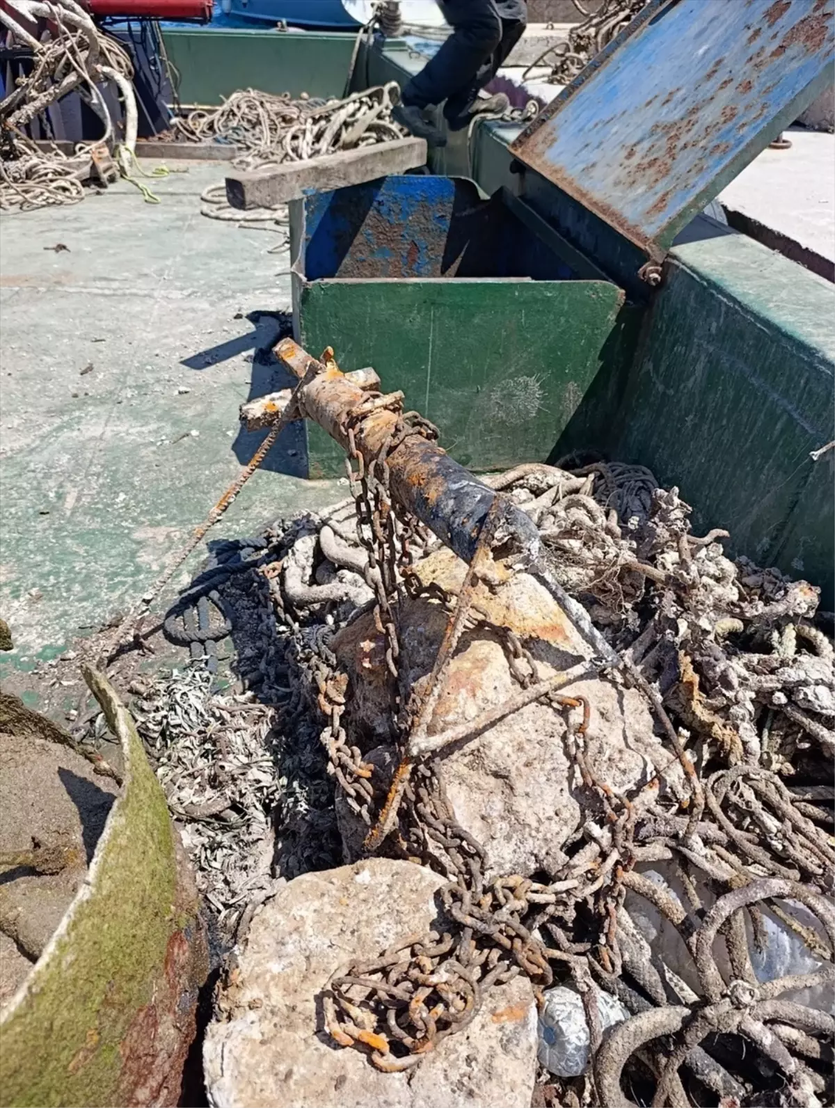 Bodrum'da Deniz Dibi Temizliği: 50 Ton Atık Toplandı