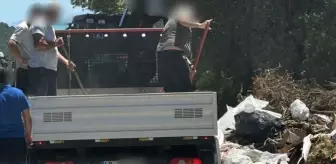Bodrum'da Doğayı Kirletenlere 260 Bin Lira Ceza