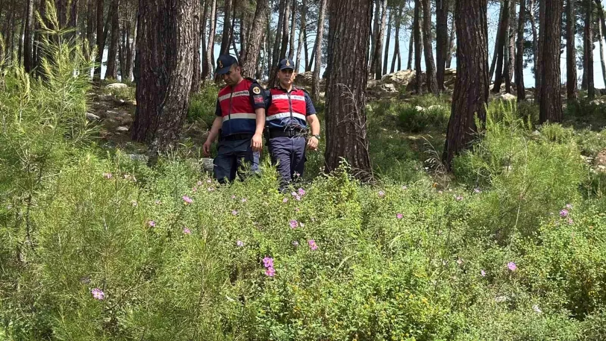 Bodrum'da Orman Yangınlarına Karşı Denetimler Artırıldı