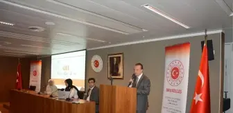 Uluslararası Aile Günü Etkinliği Brüksel'de Gerçekleştirildi