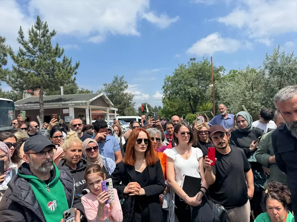 Bursa'da Hayvanseverlerden Osmangazi Belediyesine Tepki