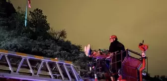 Çankırı Kalesi'nden Düşen Genç Kurtarıldı