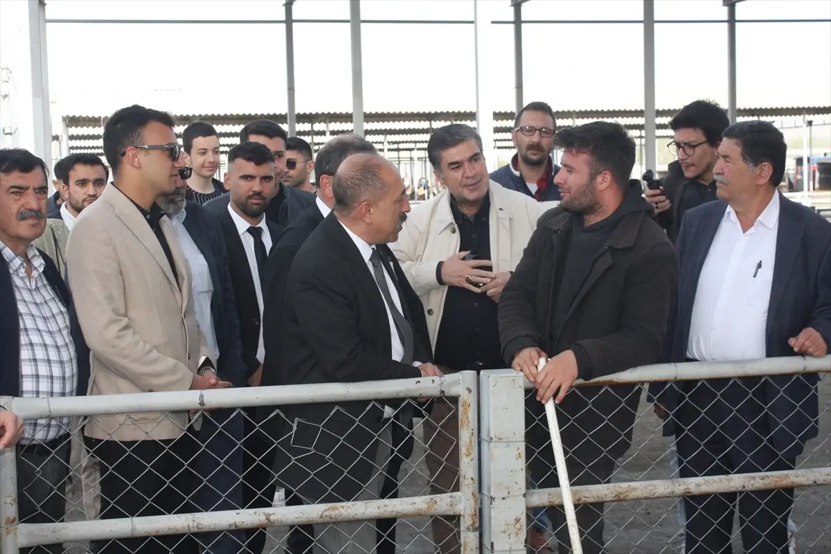 CHP Sivas İl Başkanı Hayvan Pazarını Ziyaret Etti