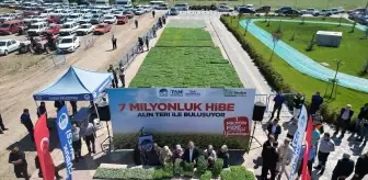 Çubuk'ta 1 Milyon Sebze Fidesi Dağıtımına Başlandı