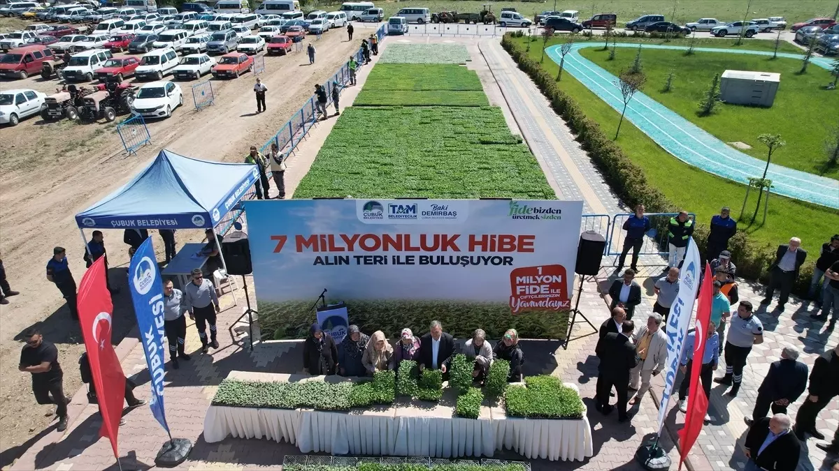 Çubuk'ta 1 Milyon Sebze Fidesi Dağıtımına Başlandı