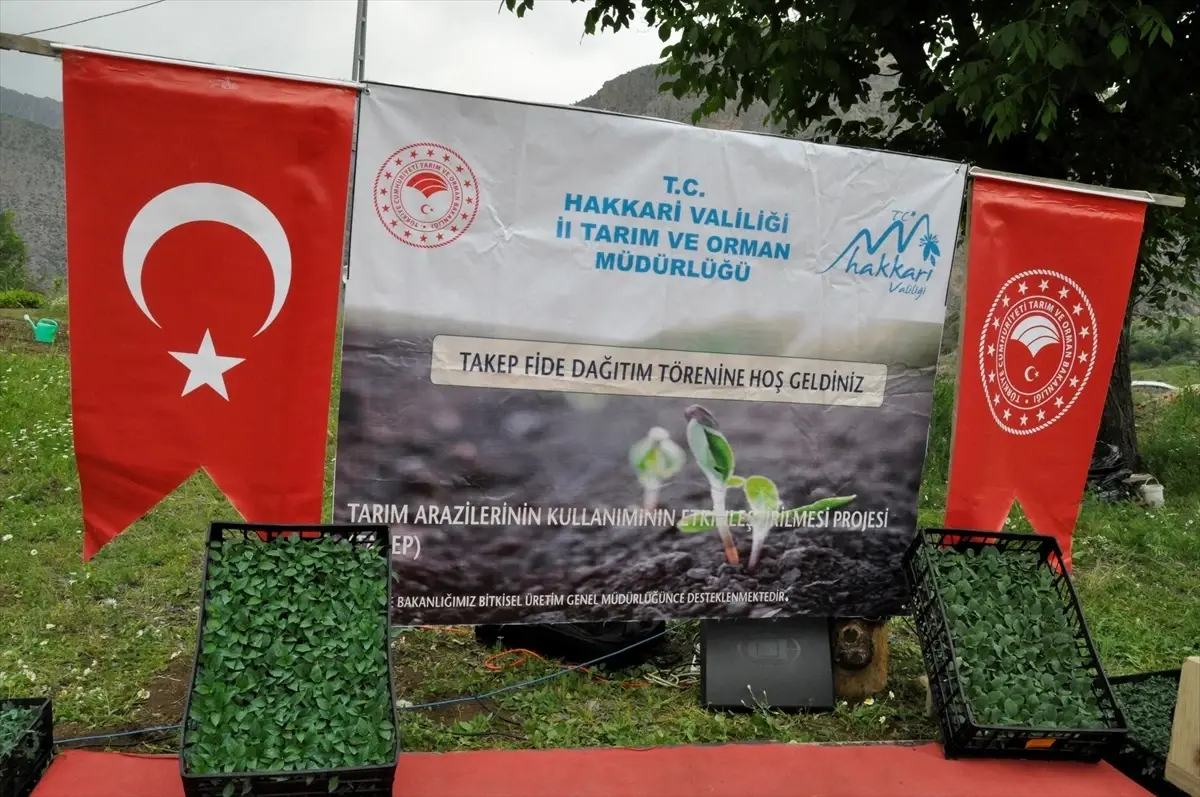 Çukurca'da Çiftçilere 43 Bin Hibeli Sebze Fidesi Dağıtıldı