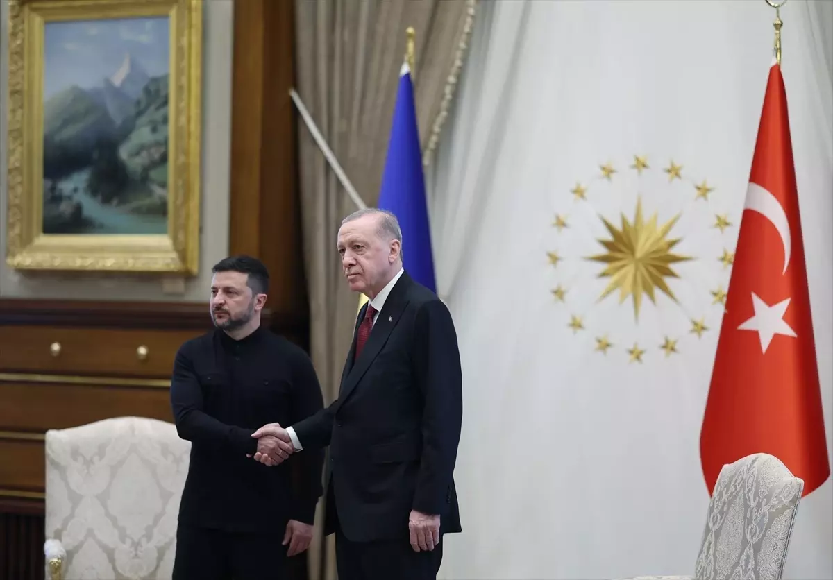 Cumhurbaşkanı Erdoğan'ın, Ukrayna Devlet Başkanı Zelenskiy ile görüşmesi başladı