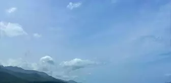Datça Sahilinde Ölü Caretta Caretta Bulundu