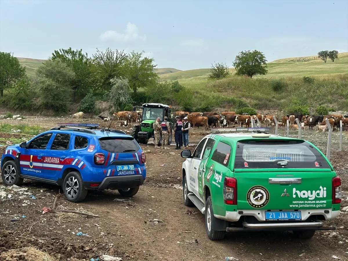 Diyarbakır'da Jandarma Ekiplerinden Kurban Bayramı Öncesi Bilgilendirme