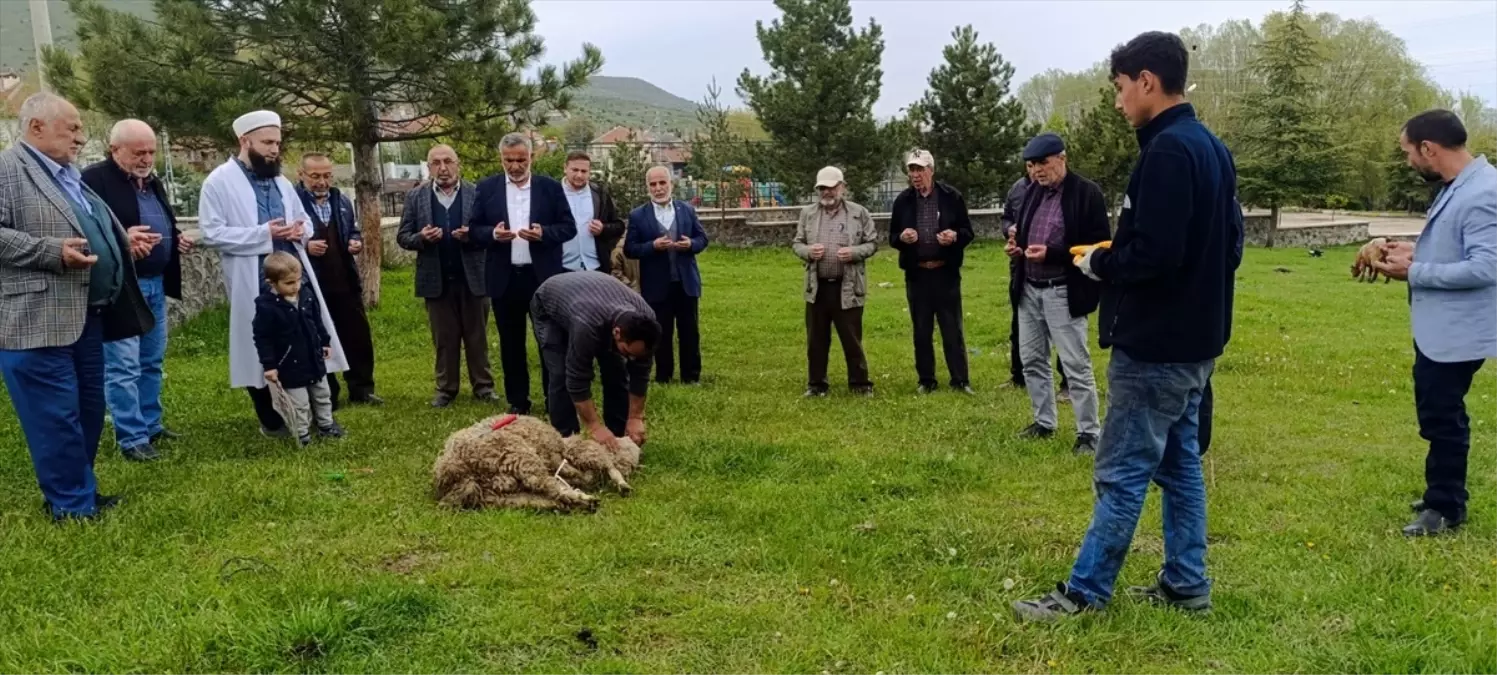 Dodurga Beldesinde Şükür Kurbanı Kesildi