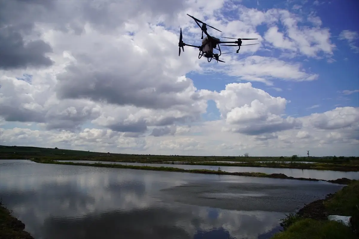 Edirne'de Çiftçiler Dron Teknolojisi ile Çeltik Ekiminde Verim Artışı Sağlıyor