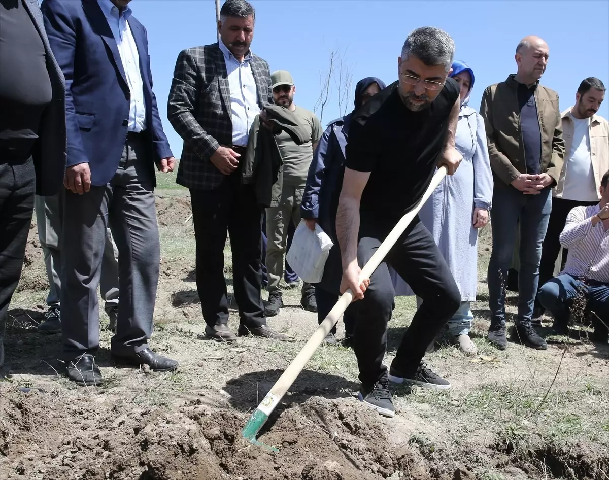 Erzurum'da 20 İlçede Eş Zamanlı Fidan Dikim Etkinliği