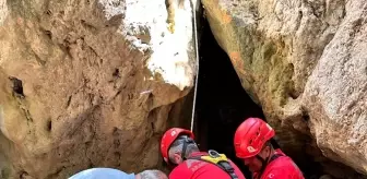 Fethiye'de Mahsur Kalan Köpek Kurtarıldı