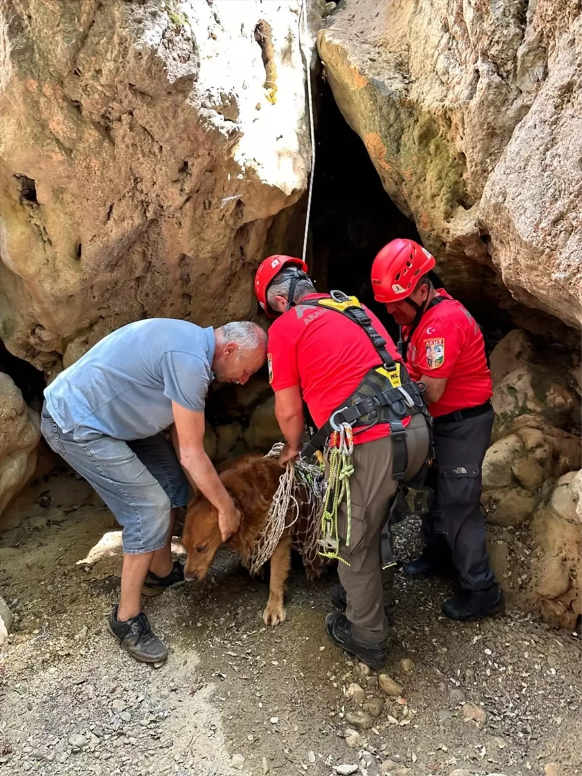 Fethiye'de Mahsur Kalan Köpek Kurtarıldı