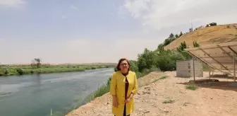 Karkamış Antik Kenti'nde Kuş Gözlem Kuleleri Yapılacak