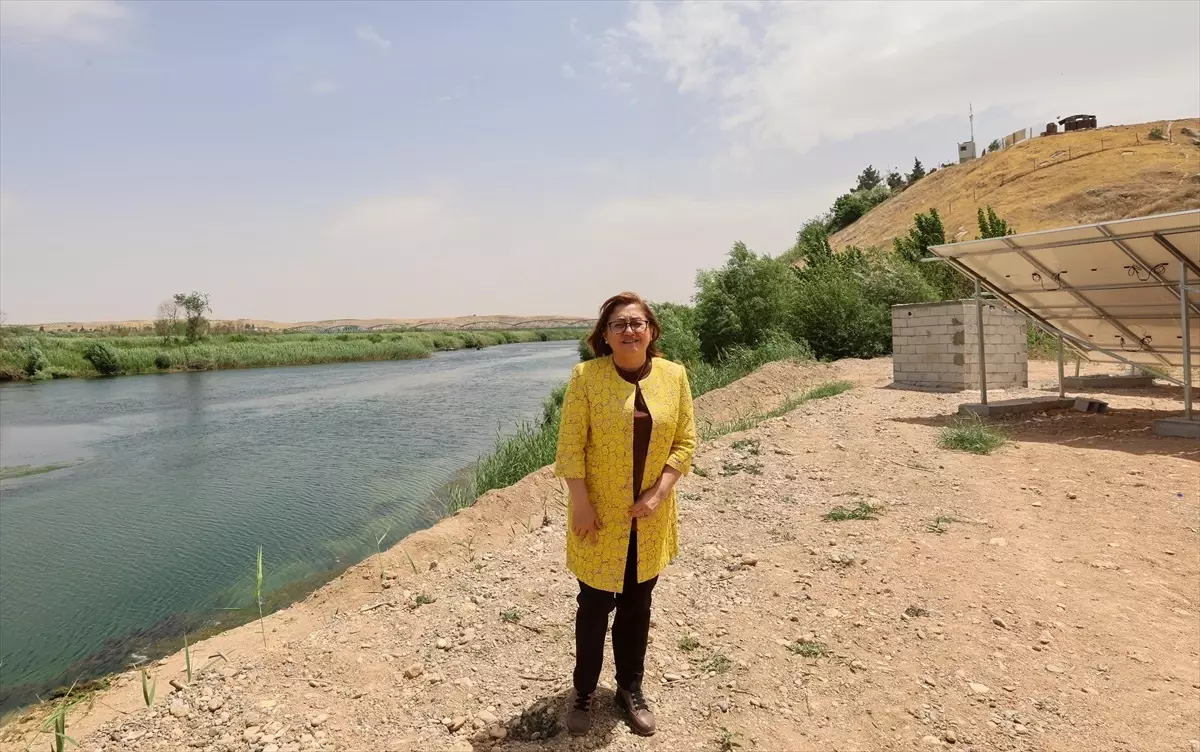 Karkamış Antik Kenti'nde Kuş Gözlem Kuleleri Yapılacak