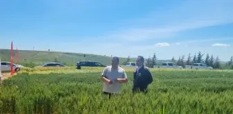 Dünya Çiftçiler Günü Gelibolu'da Etkinlikle Kutlandı