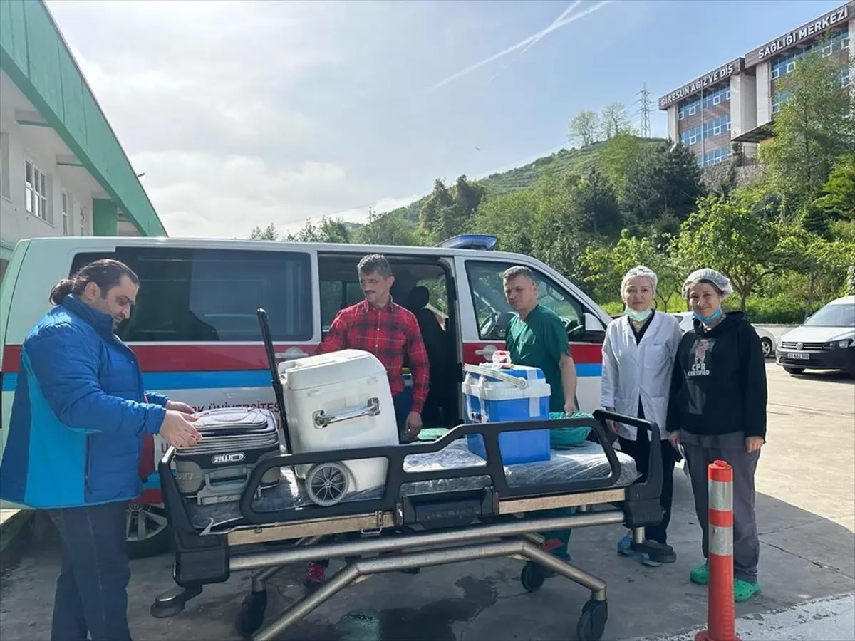 Giresun'da Organ Bağışı ile Üç Kişiye Yaşam Umudu