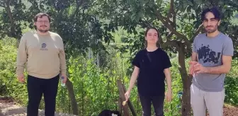 Giresun Üniversitesi'nden Kedilere Beslenme Desteği