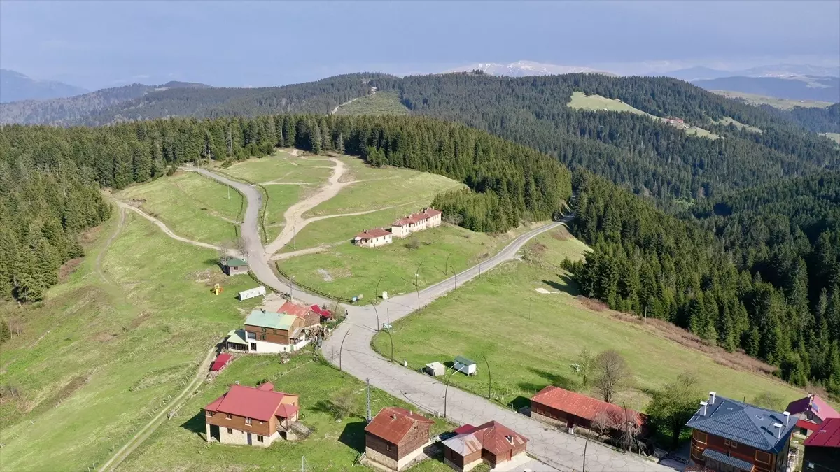 Giresun'un Kulakkaya Yaylası Turizmin Gözdesi Oluyor