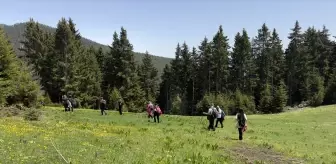 Gümüşhane'de Doğa Severler Yaylalarda Yürüyüş Yaptı