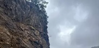 Gümüşhane'de Heyelan Yolu Kapadı