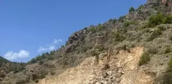 Torul'da Heyelan Nedeniyle Yol Ulaşıma Kapandı