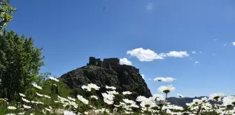 Gümüşhane'de 'Sağlık İçin Hareket Et Günü' Etkinliği Düzenlendi
