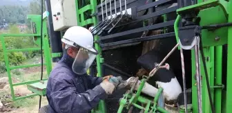 Hatay'da Besicilere Ücretsiz Tırnak Bakımı Desteği